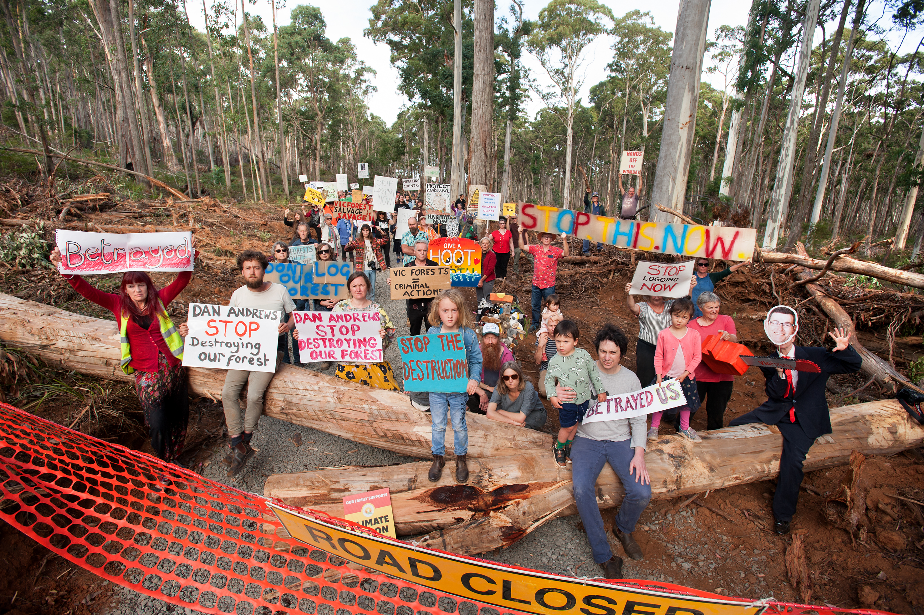 Over 100 people walked into a logged area of the Wombat State Forest to express their opposition to a destructive salvage operation