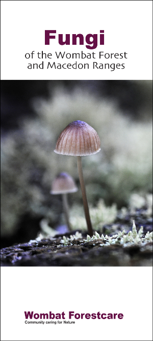 Fungi Guide cover